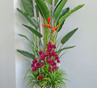 Tropical Resort Feel - adding vibrant colours with artificial plants...