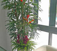 'Tropical Resort-Feel' Planters replace boring hired "shrubbery"