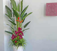 'Tropical Resort-Feel' Planters replace boring hired "shrubbery"