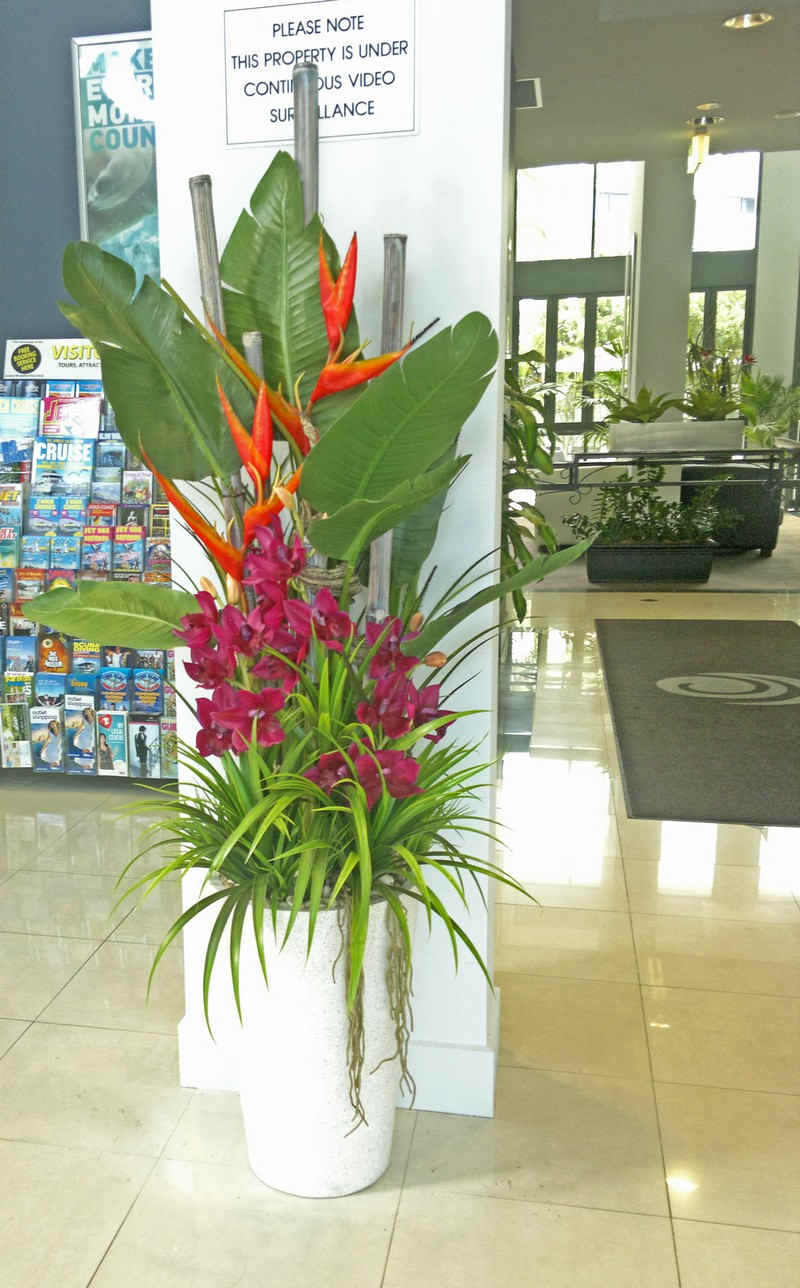 'Tropical Resort-Feel' Planters replace boring hired "shrubbery" image 3