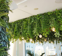 Opening Soon?..time for a quick 'green-facelift'...