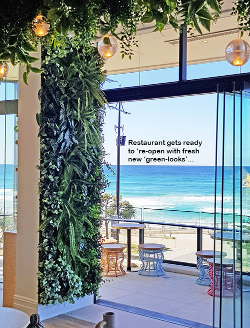 Opening Soon?..time for a quick 'green-facelift'...