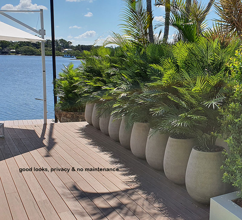 Using the latest UV-treated artificial Plants outdoor for great looks n privacy... image 11