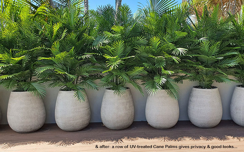 Using the latest UV-treated artificial Plants outdoor for great looks n privacy... image 3