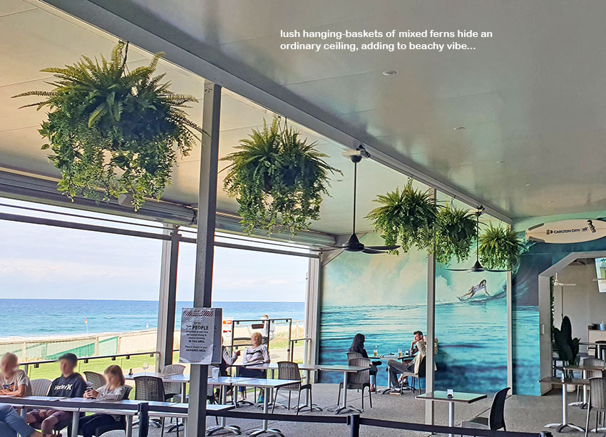 Greenery features in great Surf Club renovation... image 8