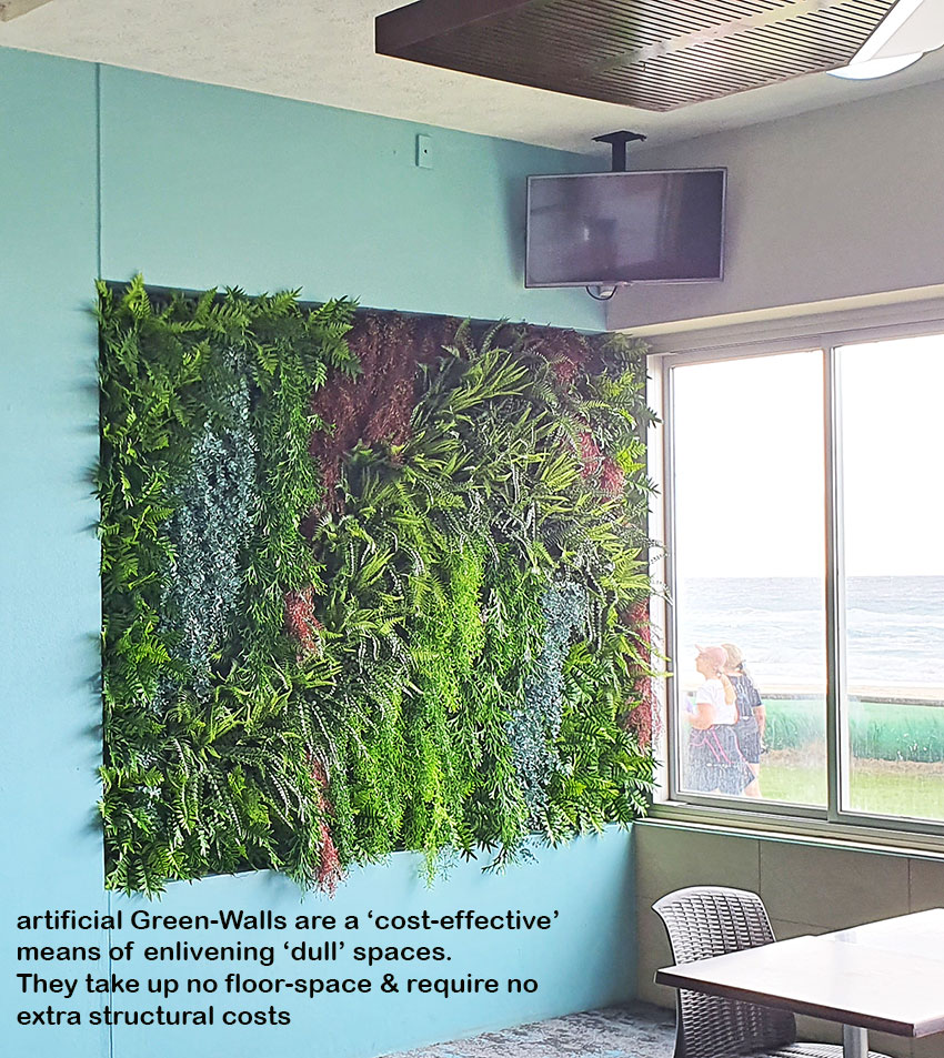 Greenery features in great Surf Club renovation... image 11