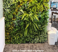 Greenery features in great Surf Club renovation...