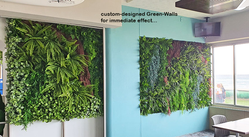 Greenery features in great Surf Club renovation... image 3