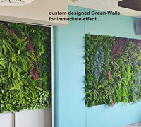 Greenery features in great Surf Club renovation...