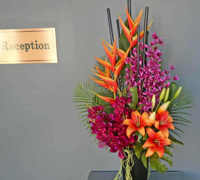 Existing Planters revamped in apartment foyer