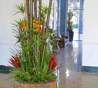 Existing Planters revamped in apartment foyer