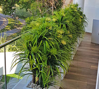 Privacy planters screen balcony...