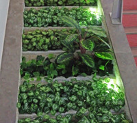 Foyer Revamp- smelly fountains to beautiful cascading gardens...