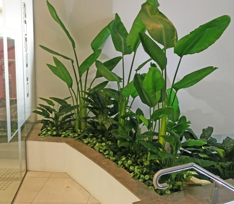 Foyer Revamp- smelly fountains to beautiful cascading gardens... image 5