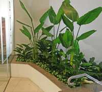 Foyer Revamp- smelly fountains to beautiful cascading gardens...