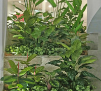 Foyer Revamp- smelly fountains to beautiful cascading gardens...