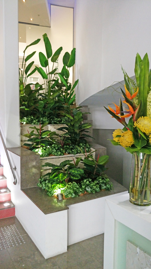 Foyer Revamp- smelly fountains to beautiful cascading gardens... image 7