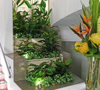 Foyer Revamp- smelly fountains to beautiful cascading gardens...