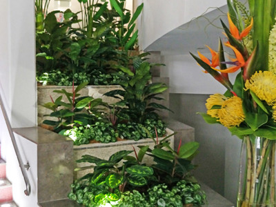 Foyer Revamp- smelly fountains to beautiful cascading gardens...