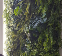 Back-lights add 'cool mood' to tall green-wall in lobby...