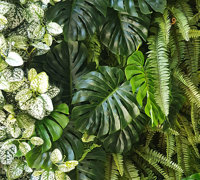 Back-lights add 'cool mood' to tall green-wall in lobby...