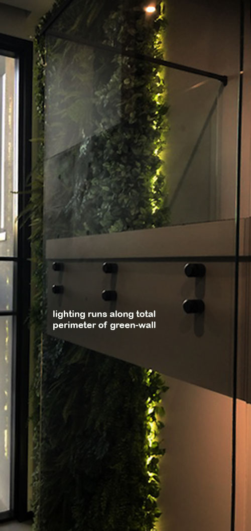 Back-lights add 'cool mood' to tall green-wall in lobby... image 3