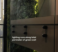 Back-lights add 'cool mood' to tall green-wall in lobby...