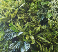 Back-lights add 'cool mood' to tall green-wall in lobby...