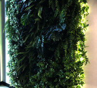 Back-lights add 'cool mood' to tall green-wall in lobby...
