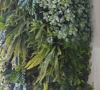 Back-lights add 'cool mood' to tall green-wall in lobby...