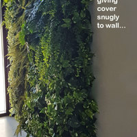 Back-lights add 'cool mood' to tall green-wall in lobby... poplet image 6