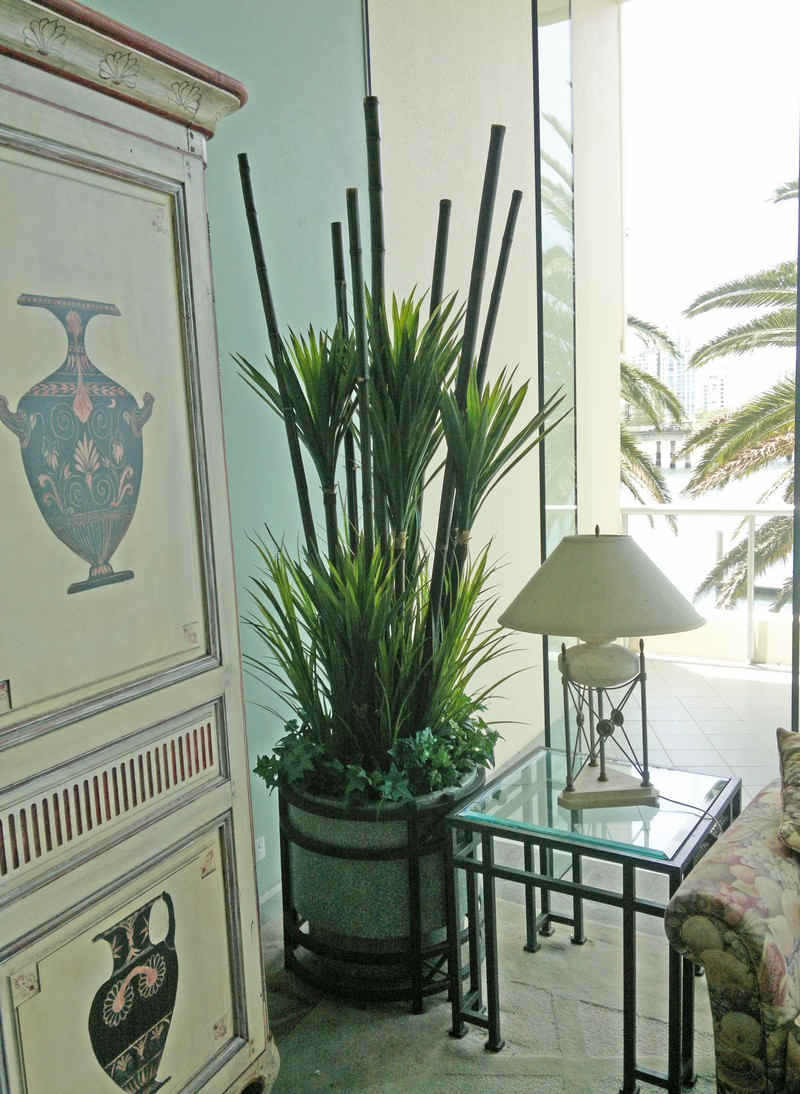 Large Apartment Foyer with large spectacular plants to match... image 9
