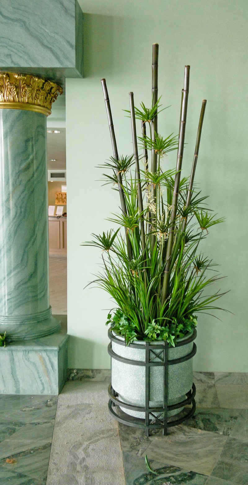 Large Apartment Foyer with large spectacular plants to match... image 6