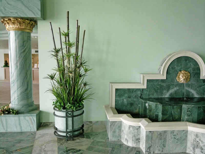 Large Apartment Foyer with large spectacular plants to match... image 5