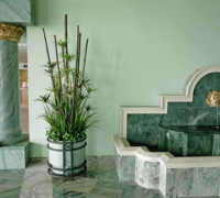 Large Apartment Foyer with large spectacular plants to match...