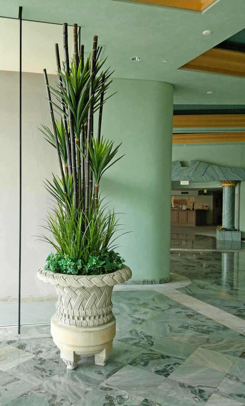 Large Apartment Foyer with large spectacular plants to match... image 3