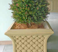 Large Apartment Foyer with large spectacular plants to match...