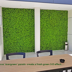 Wall-Panels- Boxwood UV panel  - artificial plants, flowers & trees - image 2
