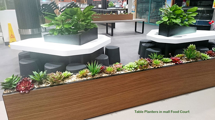 Table-Planters in Mall Eatery... image 2