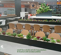 Table-Planters in Mall Eatery...