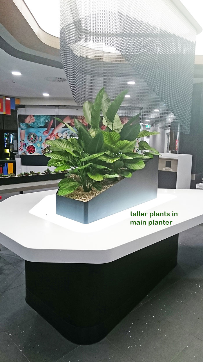Table-Planters in Mall Eatery... image 7