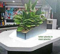 Table-Planters in Mall Eatery...