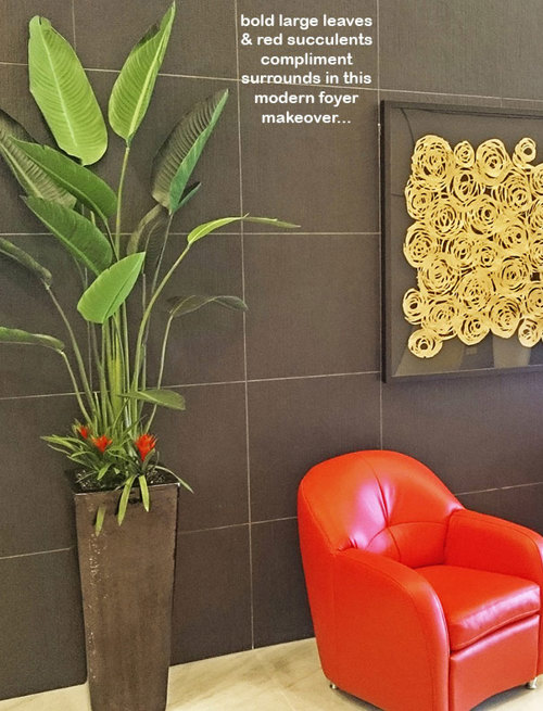 Plant revamp in Apartment Foyer