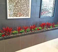 Plant revamp in Apartment Foyer