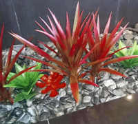 Plant revamp in Apartment Foyer