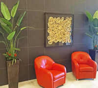 Plant revamp in Apartment Foyer