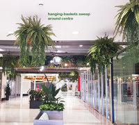 Green-makeover for Regional mall...