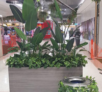 Green-makeover for Regional mall...