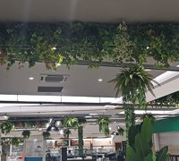 Green-makeover for Regional mall...