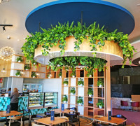 Raised Planter & Green-Wall in Club Foyer